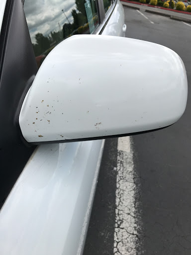 Car Wash «Elephant Car Wash», reviews and photos, 12900 Bel-Red Rd, Bellevue, WA 98005, USA