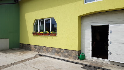 Chișu Grup