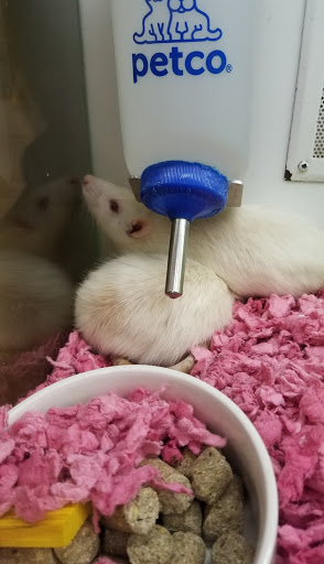 Pet Supply Store «Petco Animal Supplies», reviews and photos, 3055 N President George Bush Hwy, Garland, TX 75040, USA