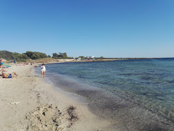 Spiaggia Via Zaccaria Treves'in fotoğrafı vahşi alan