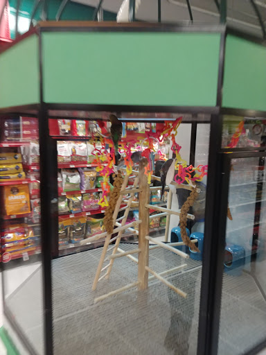 Pet Supply Store «Petco Animal Supplies», reviews and photos, 3800 S Tamiami Trail #20, Sarasota, FL 34239, USA