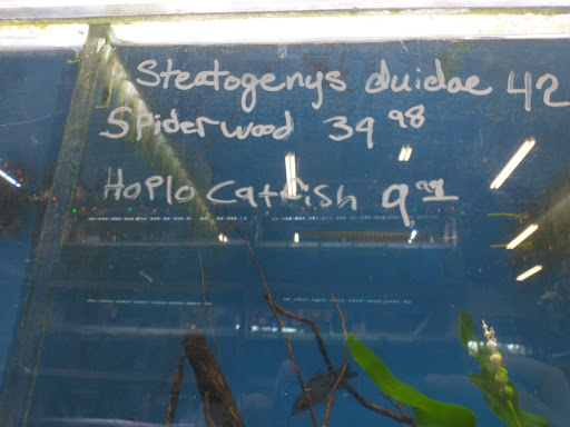 Tropical Fish Store «The Fish Store», reviews and photos, 12320 Lake City Way NE, Seattle, WA 98125, USA