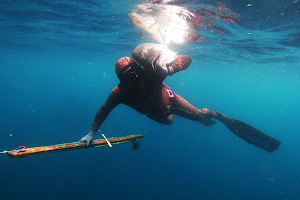 Bigtooth Spearfishing Bali image