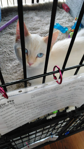 Shopping Mall «Frederick Shopping Center», reviews and photos, 1305 W 7th St, Frederick, MD 21702, USA