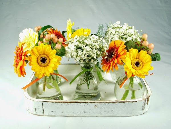 Imagen de Flors  GO (7 de 21)