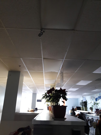 Laundromat «BayView Plaza Launderland», reviews and photos, 3801 3rd St, San Francisco, CA 94124, USA