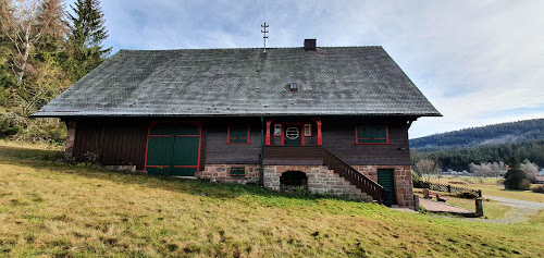 Gruppenhaus Herrenwies à Forbach