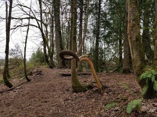 Public Golf Course «White River Disc Golf Course», reviews and photos, 2401 Stuck River Dr, Auburn, WA 98092, USA