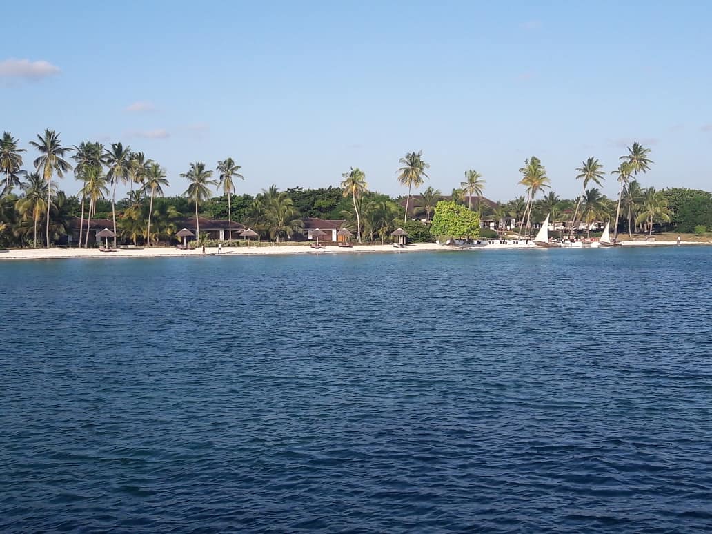 Mchangamle Beach photo #8