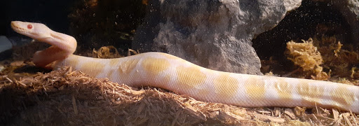 Pet Store «Pet Central», reviews and photos, 1200 Smallhouse Rd, Bowling Green, KY 42104, USA