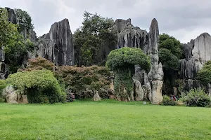 China Stone Forest Karst Geology Museum image