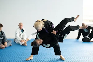 Roberto Britto Jiu Jitsu image