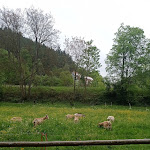 Photo n°9 de l'avis de kamil.u fait le 23/05/2023 à 03:03 sur le  Christliche Gästehäuser Monbachtal à Bad Liebenzell