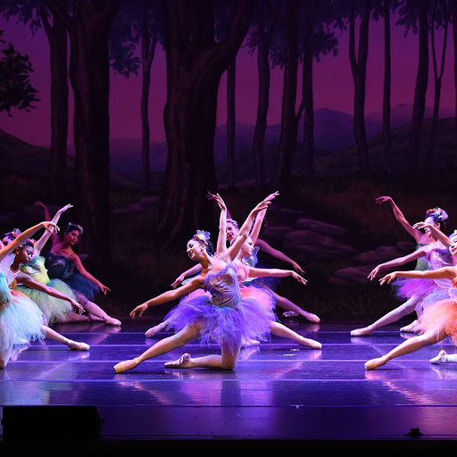 Dance School «International Dance Academy», reviews and photos, 825 Shotgun Rd, Sunrise, FL 33326, USA