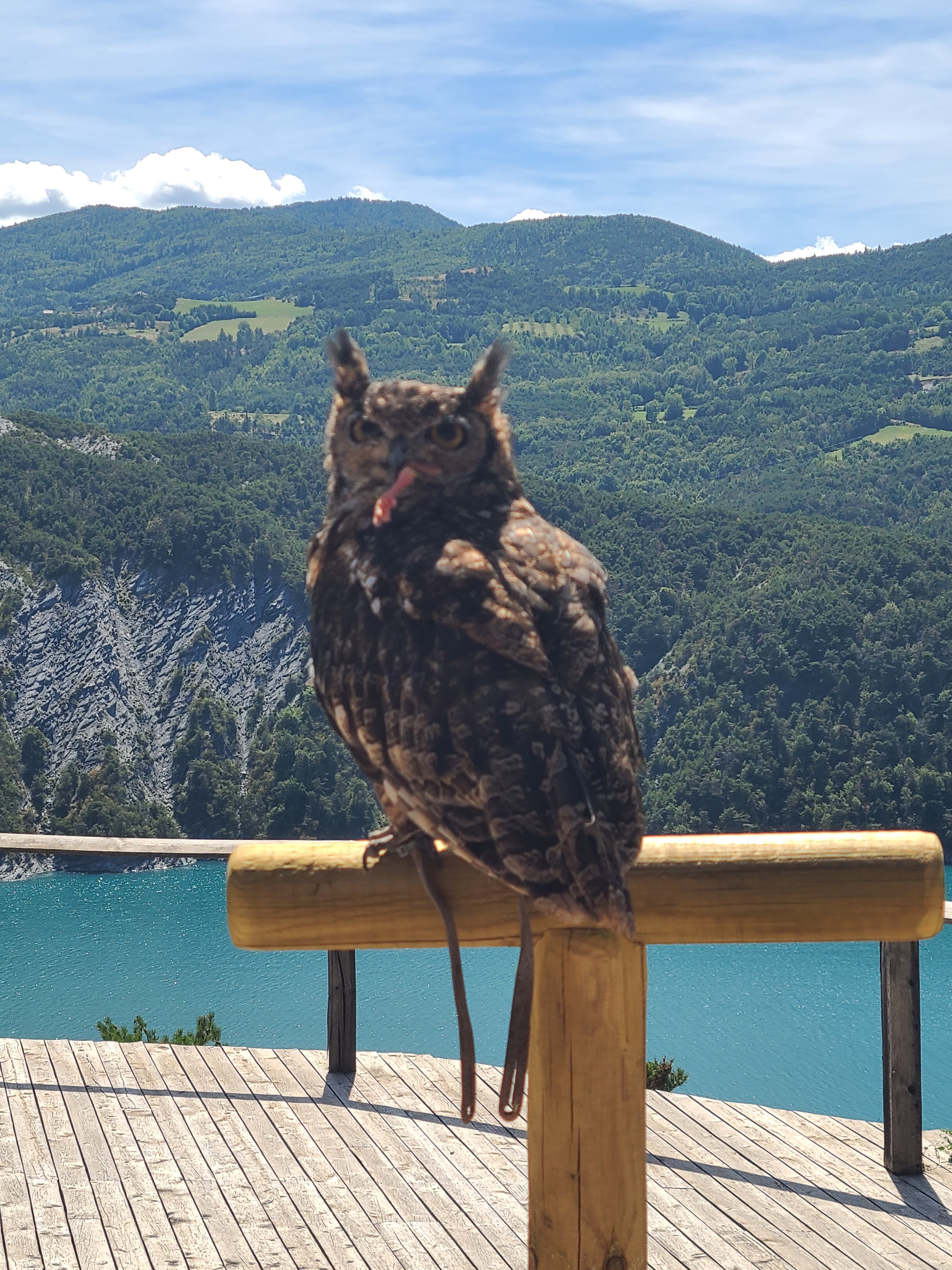 Photo n° 1 de l'avis de ju. fait le 09/09/2023 à 15:27