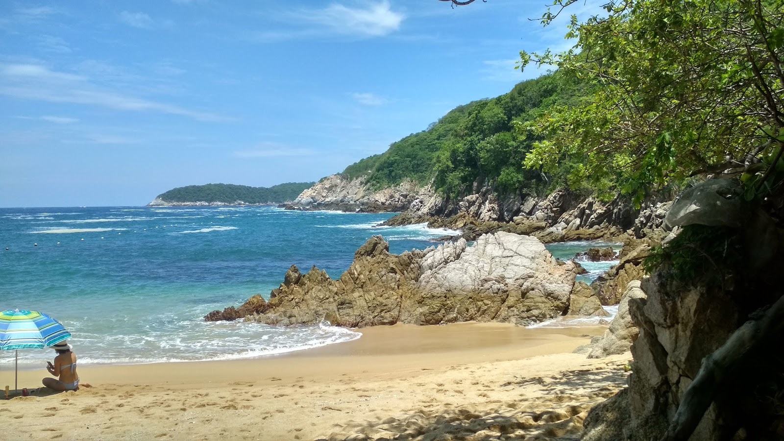 Foto di Violin Huatulco beach zona selvaggia