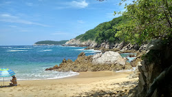 Foto di Violin Huatulco beach zona selvaggia