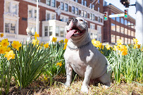 Legacy Photography - Photo 2 - Car repair in , Roanoke