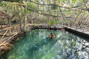 Manglar de San Crisanto image