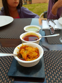 Curry du Restaurant indien Restaurant Punjab indien à Montigny-le-Bretonneux - n°15