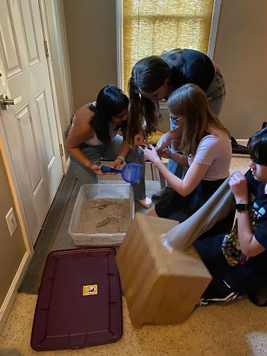 Amusement Center «Brainstorm Escape Games», reviews and photos, 3060A Business Park Drive, Norcross, GA 30071, USA