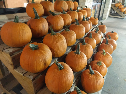 Grocery Store «The Fresh Market», reviews and photos, 5920 Red Bug Lake Rd, Winter Springs, FL 32708, USA