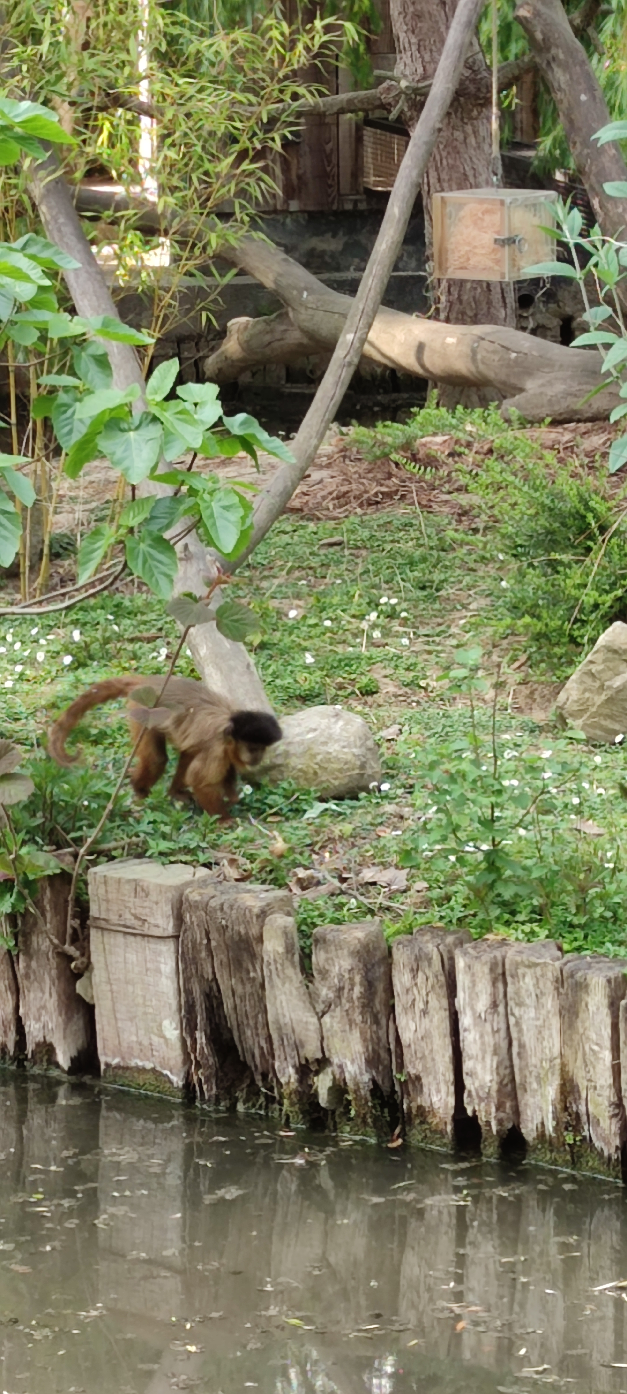 Photo n° 3 de l'avis de Magalie.o fait le 24/07/2021 à 15:03