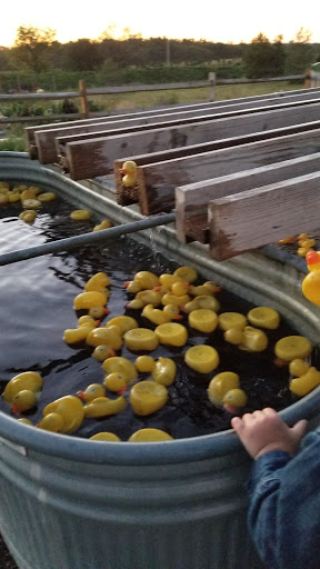 Farm «Abbey Farms», reviews and photos, 2855 Hart Rd, Aurora, IL 60502, USA