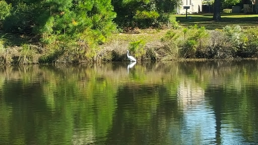 Golf Club «True Blue Golf Plantation», reviews and photos, 900 Blue Stem Dr, Pawleys Island, SC 29585, USA