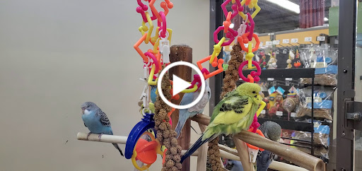 Pet Supply Store «Petco Animal Supplies», reviews and photos, 86 Storrs Rd, Mansfield Center, CT 06250, USA