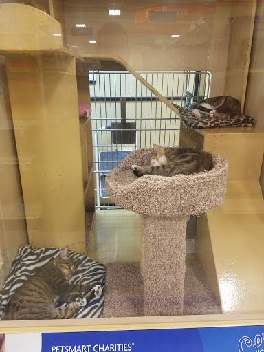 Pet Supply Store «PetSmart», reviews and photos, 7850 W Commercial Blvd, Lauderhill, FL 33351, USA