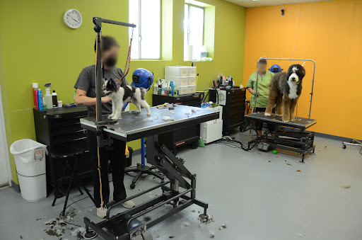 Pet Supply Store «Dog Day Afternoon», reviews and photos, 2527 Frank Scott Pkwy W, Belleville, IL 62223, USA