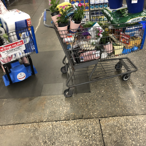 Department Store «Walmart Supercenter», reviews and photos, 17030 U.S. 441, Mt Dora, FL 32757, USA