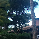 Photo n°6 de l'avis de Esmeralda.i fait le 03/04/2022 à 20:39 sur le  Ristorante Ca' del Pino à Ravenna