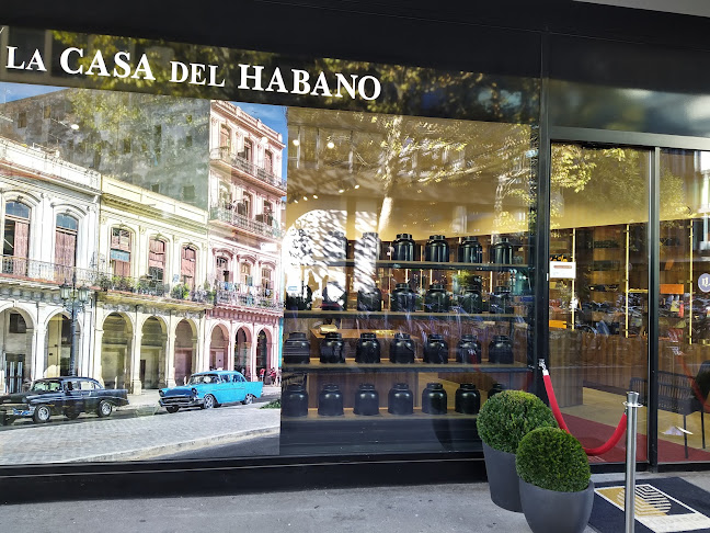 Kommentare und Rezensionen über La casa del Habano Basel