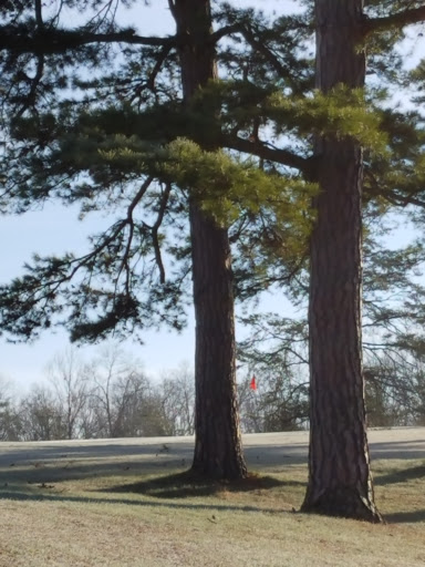 Country Club «Greenhills Country Club», reviews and photos, Old Rte 56, Ravenswood, WV 26164, USA