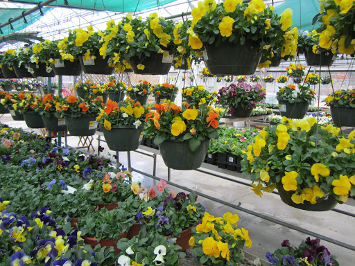 Garden Center «Delahunty Nurseries & Florist», reviews and photos, 41 Range Rd, Windham, NH 03087, USA
