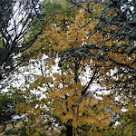 Photo n°2 de l'avis de Olga.o fait le 31/10/2019 à 08:50 sur le  Hotel Velino à Avezzano