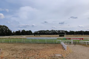 Cologne-Weidenpesch Racecourse image