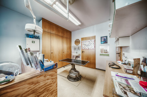Praxis für Kleintiere und Tierphysiotherapie Elma Strauch unter Gäufelden, 