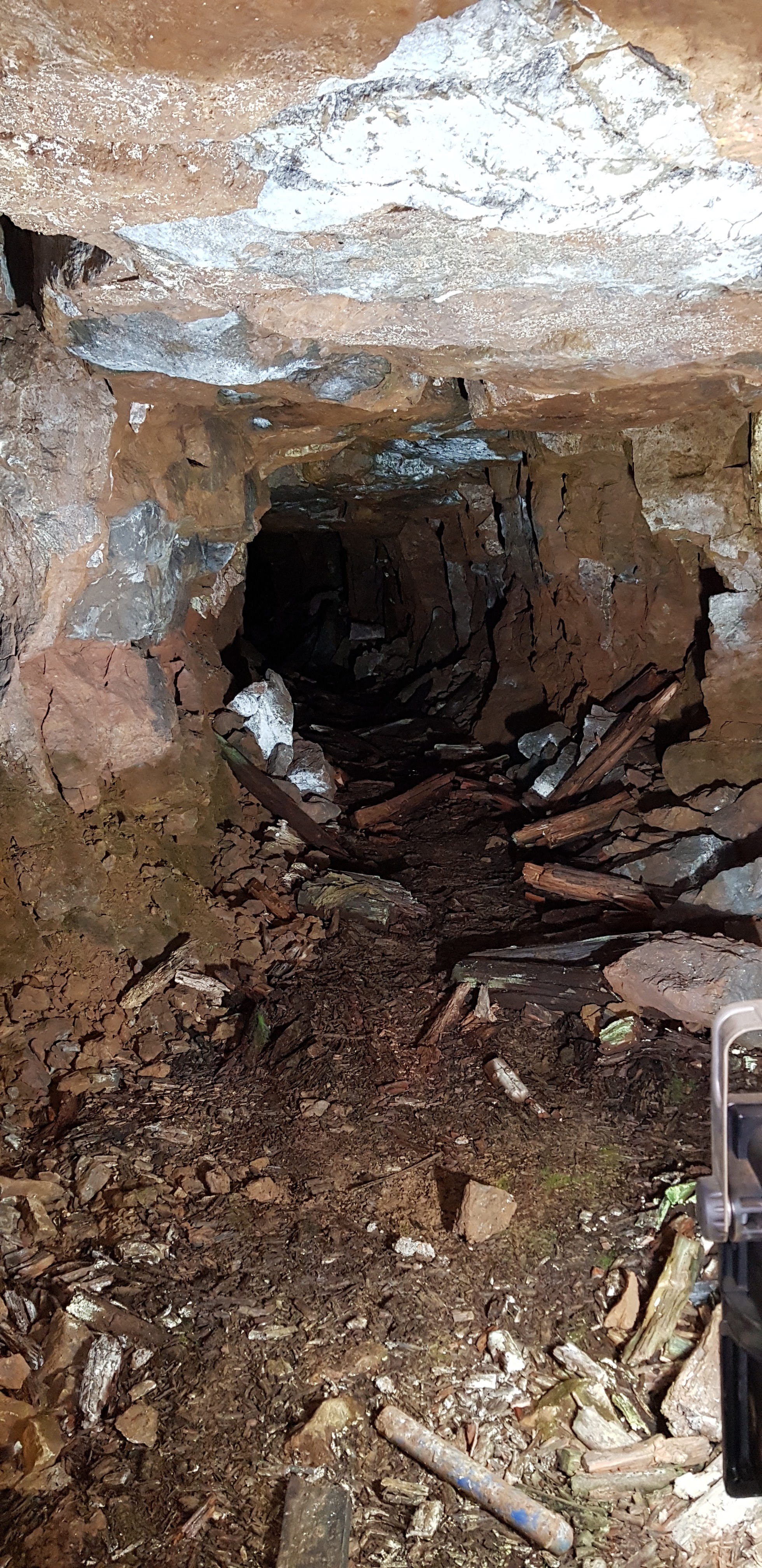 Photo n° 3 de l'avis de Aurore.e fait le 05/09/2018 à 15:12