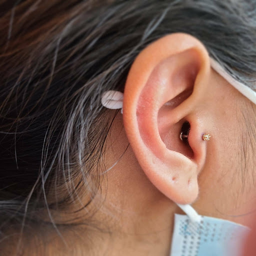 Body Piercing Shop «Skin Gallery Tattooing & Body Piercing», reviews and photos, 1402 Ogden Ave, Downers Grove, IL 60515, USA