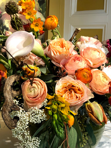 Plant Nursery «Potomac Petals and Plants», reviews and photos, 9545 River Rd, Rockville, MD 20854, USA