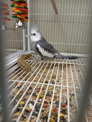 Pet Supply Store «Pet Supplies Plus», reviews and photos, 2157 Penfield Rd, Penfield, NY 14526, USA