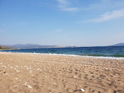 Kantia beach'in fotoğrafı çok temiz temizlik seviyesi ile