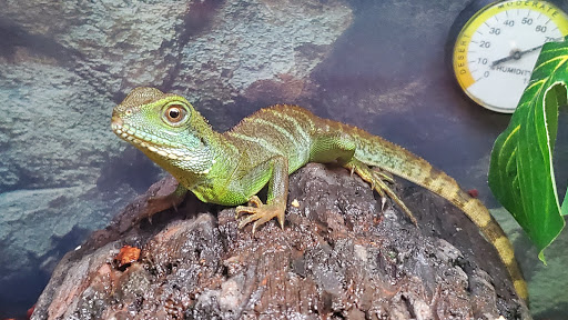 Pet Supply Store «Petco Animal Supplies», reviews and photos, 200 Center Blvd S, Christiana, DE 19702, USA