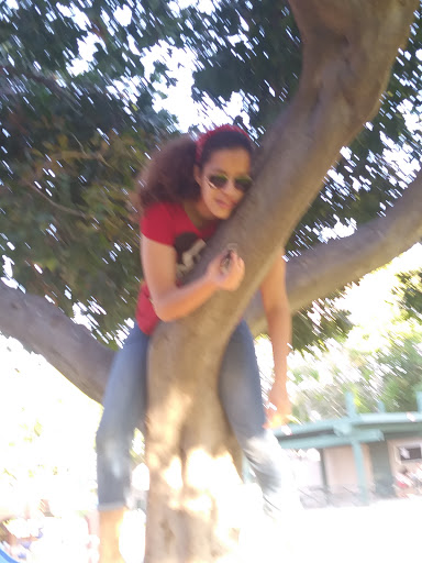 Park «Evergreen Park», reviews and photos, 9300 Moody St, Cypress, CA 90630, USA