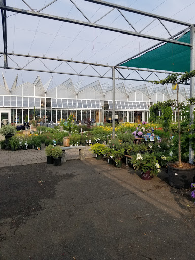 Garden Center «Blooms at Belle Mead», reviews and photos, 1980 US-206, Belle Mead, NJ 08502, USA