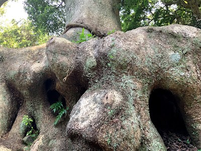 光岡八幡宮駐車場