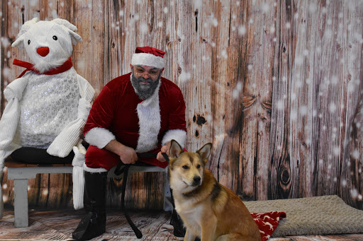 Pet Supply Store «Thomaston Feed of Cheshire», reviews and photos, 851 S Main St, Cheshire, CT 06410, USA